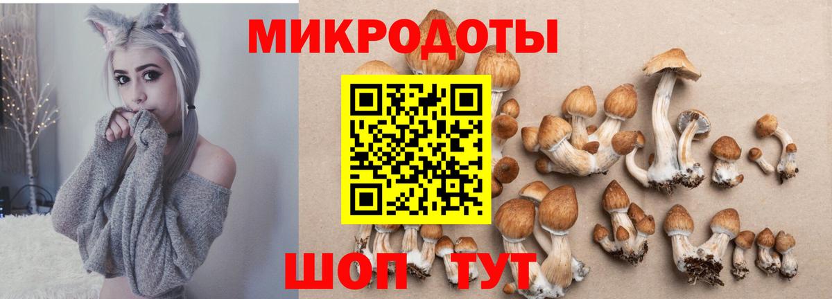 Галлюциногенные грибы Psilocybine cubensis  Вход с VPN  Петрозаводск 
